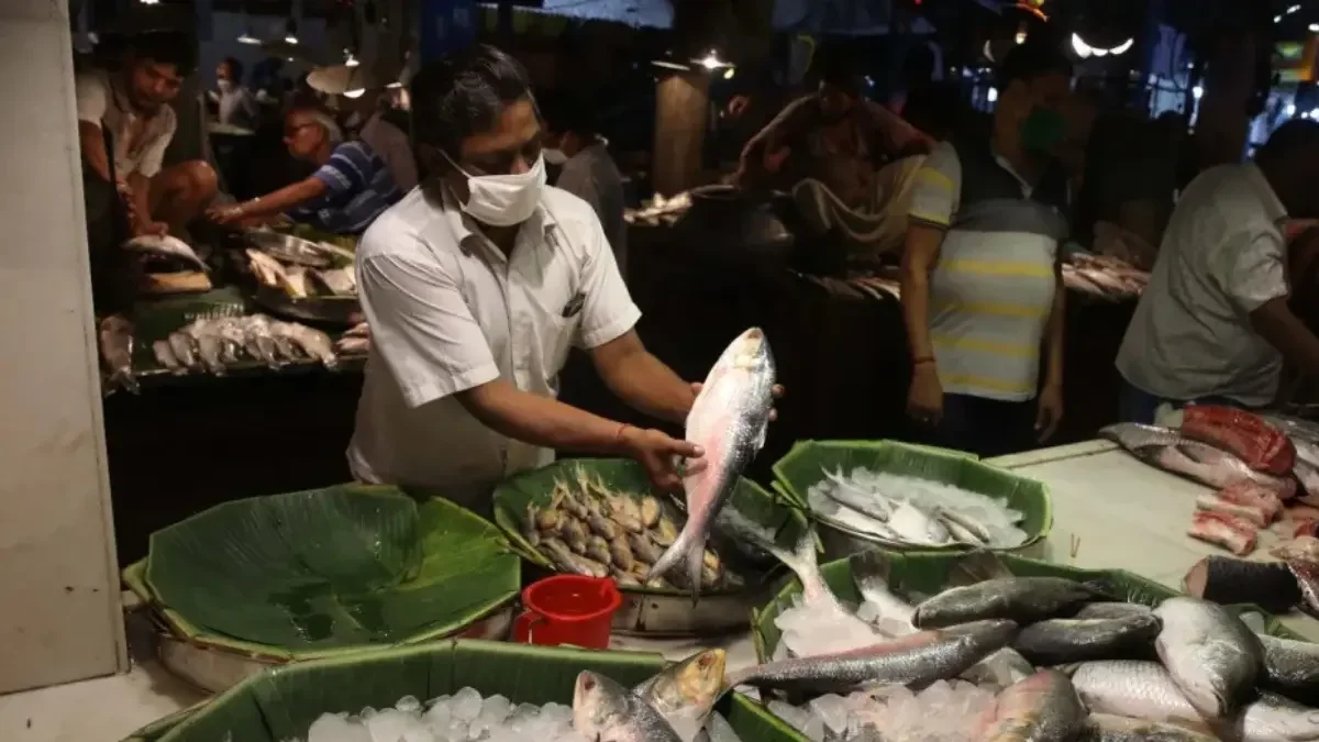 Big Hilsa Twist: India Exports 500MT of Fish to Bangladesh in Rare Trade Reversal